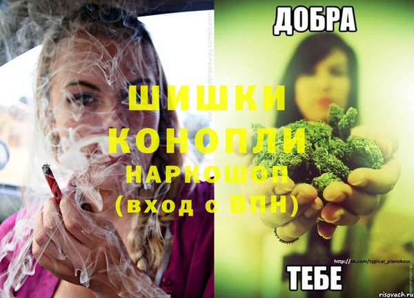 apvp Михайлов