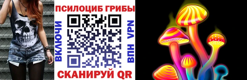где купить   omg вход  Псилоцибиновые грибы мицелий  Разумное 